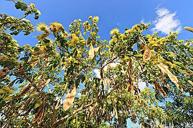 《地球防卫军5》全球累计销量突破100万 续作8月25日发售
