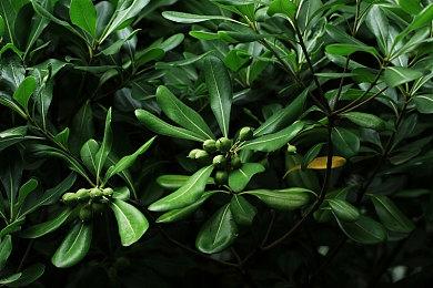 开发商发出警告 《驱灵者：新伊甸的幽灵》销量远低于预期