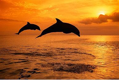 《光环：无限》熔炉模式重建“玩具总动员”安迪房间